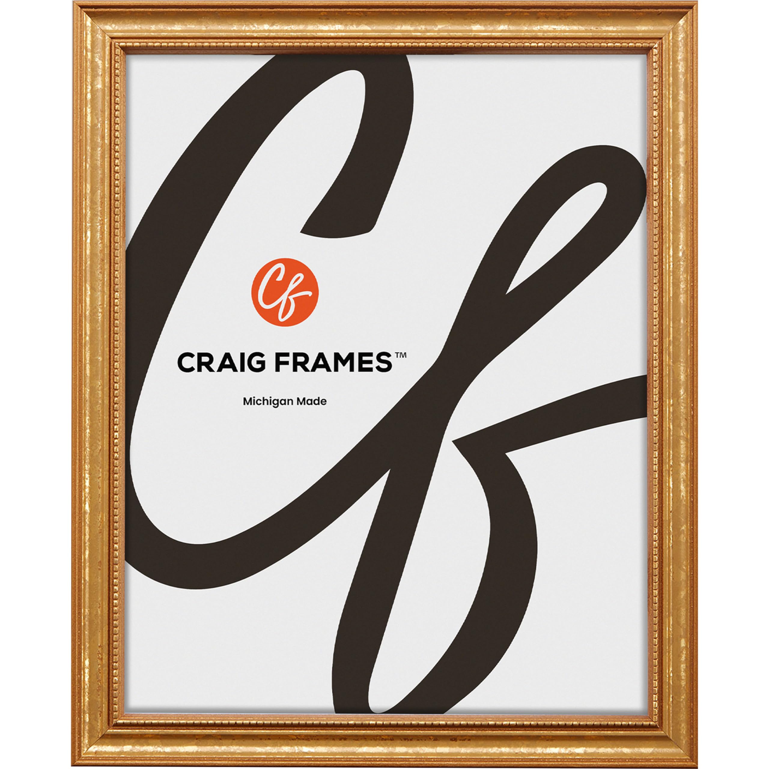Amazon.com - Craig Frames 20x27 Picture Frame – Gold Ornate